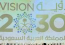 بن سلمان يطرح مبادرة “الشرق الأوسط الأخضر” على زعماء عرب ضمن رؤية 2030